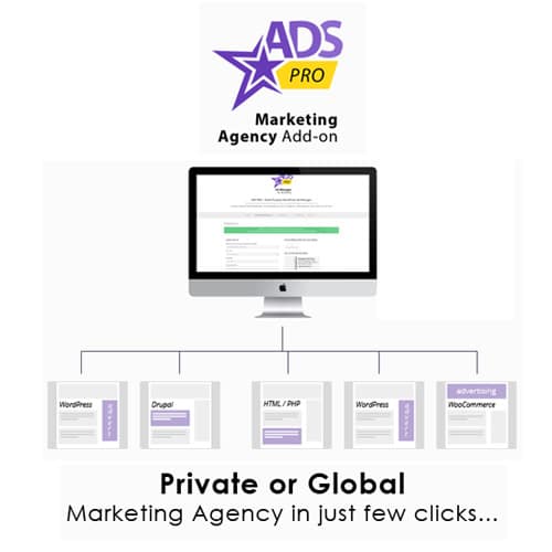 Ads Pro Add-on – WordPress Marketing Agency