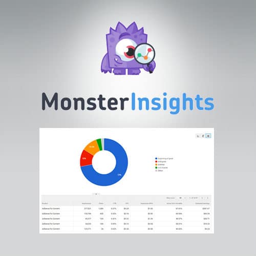 MonsterInsights – Ads Addon