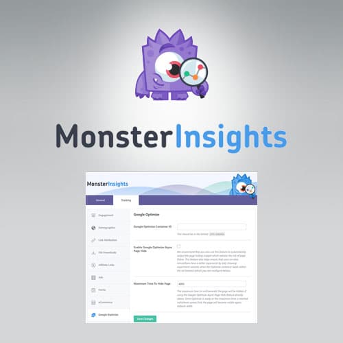 MonsterInsights – Google Optimize Addon
