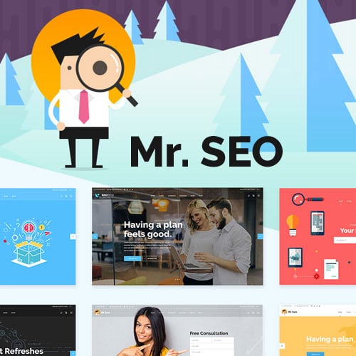 Mr. SEO – SEO, Marketing Agency and Social Media Theme