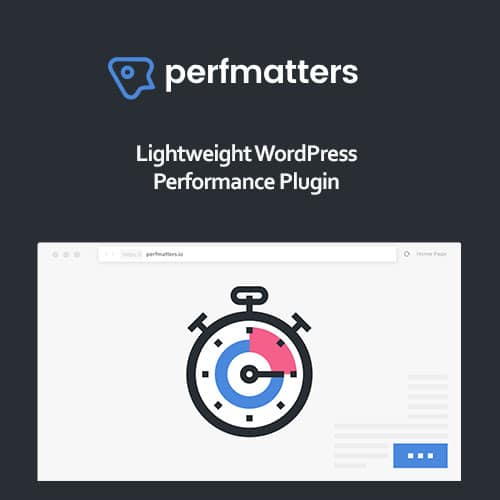 Perfmatters WordPress Plugin - WordPress Performance Plugin