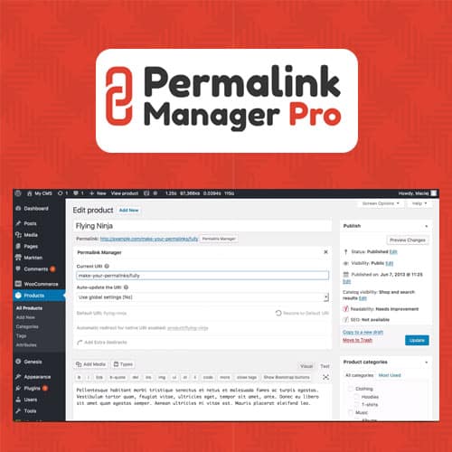 Permalink Manager Pro - WordPress Permalink Plugin