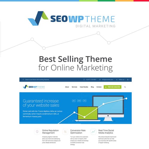 SEOWP | SEO & Digital Marketing Agency WordPress Theme