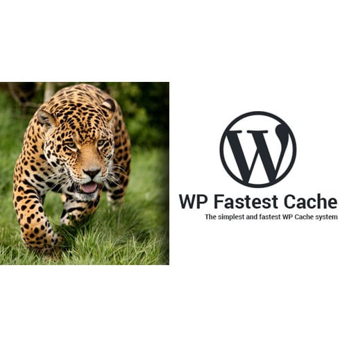 WP Fastest Cache WordPress Plugin – Premium