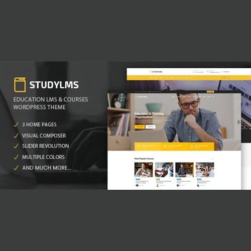 Studylms - Education LMS & Courses WordPress Theme