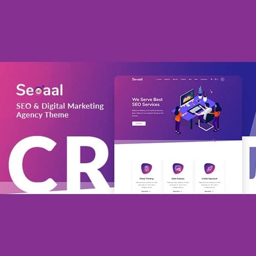 Seoaal - SEO & Digital Marketing WordPress Theme